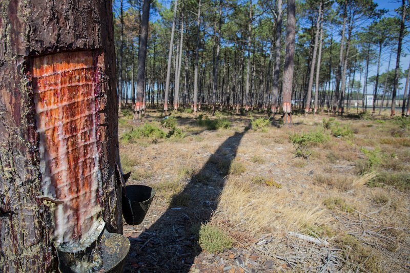 IMGL2920.jpg -  Lien Google Maps  