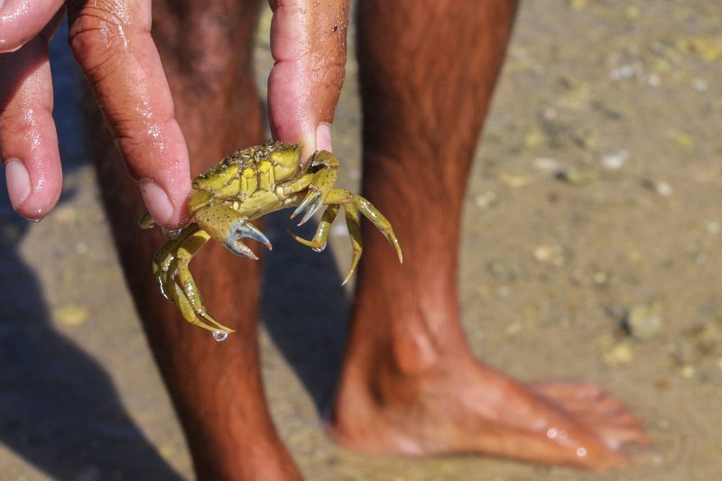 IMG_8995.jpg -  Lien vers Google Maps  